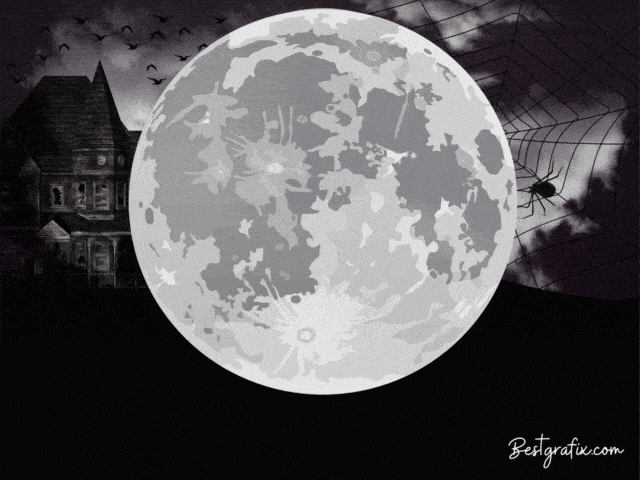 image-1016139-Halloween-GIF-3-16790.gif
